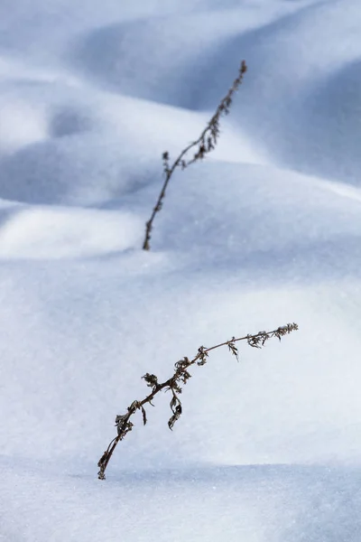 Besneeuwde Landschap Winterseizoen — Stockfoto