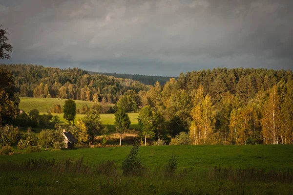 Piękny Zielony Krajobraz Lasu Łąk — Zdjęcie stockowe