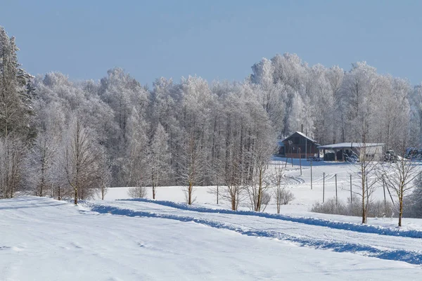 Sumava Inverno Checo Filipova Hut — Fotografia de Stock
