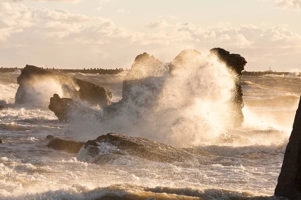 Ondas Costa Mar Báltico — Fotografia de Stock