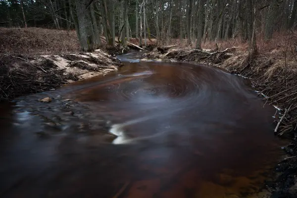 Маленькая Река Зимнем Лесу — стоковое фото