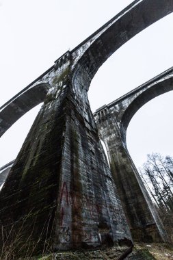 ormanda eyfel köprüsü