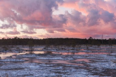 Kış mevsiminde güzel kuzey manzarası