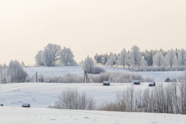 Karla kaplı ağaçlarla kaplı kış manzarası