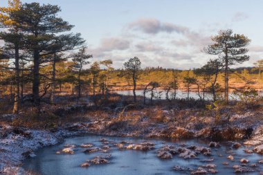 Buzlu ve bulutlu Boglake