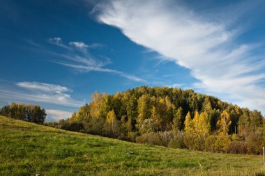 Güneşli bir günde güzel yeşil bir manzara