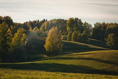 Güneşli bir günde güzel yeşil bir manzara