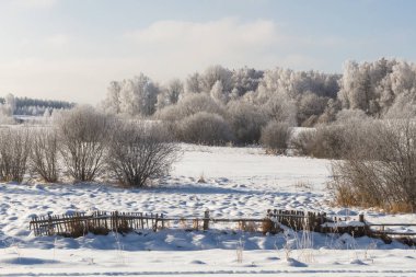 Karla kaplı ağaçlarla kaplı kış manzarası