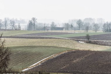Kırsal alandan görünüm