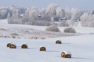 Kırsalda soğuk ve karlı kış