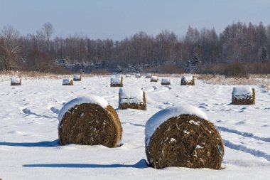 Kışın karlı saman küpleri