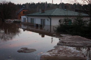 Letonya köyü evlerle dolup taşıyor
