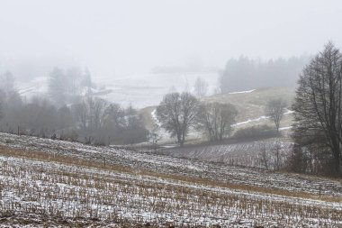 Dağlarda kış ormanı.