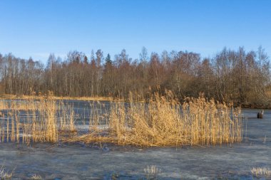 Güzel kuzey manzarası Kış günü