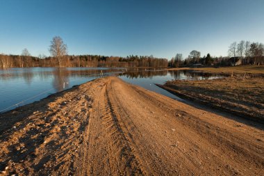 Nehir ve kışın orman manzarası