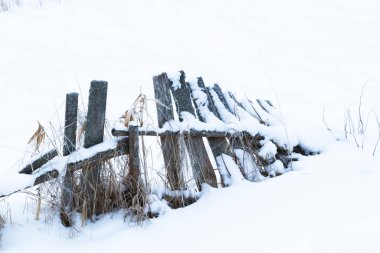 Karda donmuş orman.