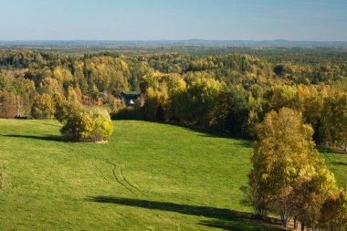 Güneşli bir günde güzel yeşil bir manzara
