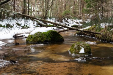 Kış ormanında küçük bir nehir