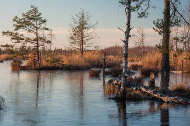 Bahar mevsiminde güneşli bir günde nehir kıyısı