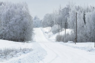 Kış ormanında karlı bir yol