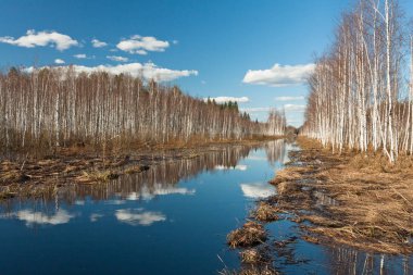 Nehir ve kışın orman manzarası