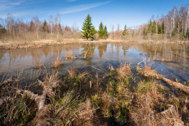 Nehir ve kışın orman manzarası