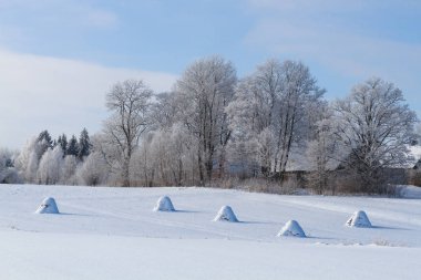 Kış mevsiminde karlı çayırlarda saman balyaları 