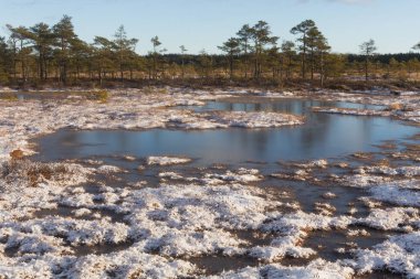 Kışın bulutlu ve buzlu Boglake