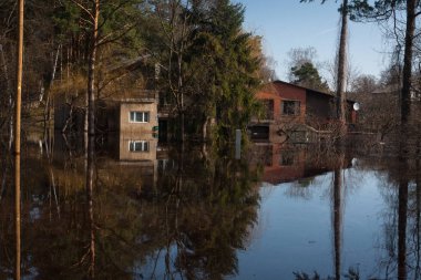 Letonya köyü evlerle dolup taşıyor