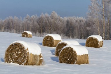 Kırsalda soğuk ve karlı kış
