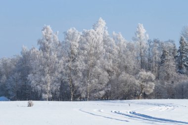 Güneşli bir günde güzel kış manzarası