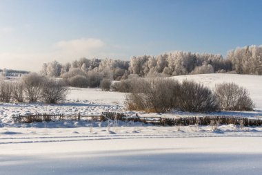 Karla kaplı ağaçlarla kaplı kış manzarası