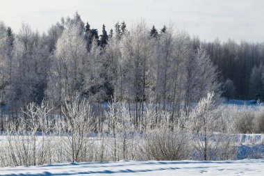 Kırsalda soğuk ve karlı kış