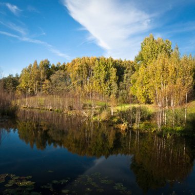 Oderrteich Harz - Harz dağlarında göl