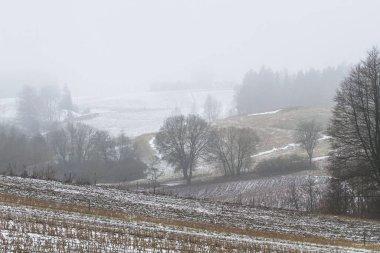 Dağlarda kış ormanı.