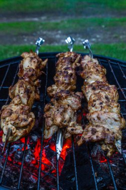 Demir ızgarada kızarmış kebap.