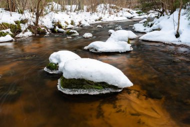 Kış ormanında küçük bir nehir