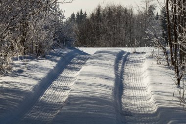 Ormanda kış yolu.