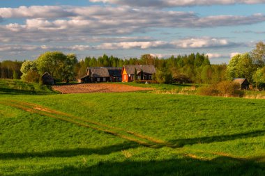 Gündüzleri tarlaların yanındaki eski binalar