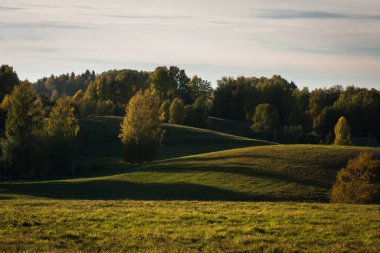Güneşli bir günde güzel yeşil bir manzara