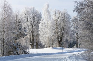 Karla kaplı ağaçlarla kaplı kış manzarası