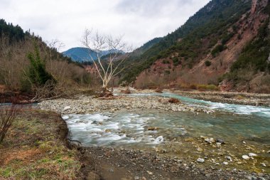 Bulutlu bir günde dağ nehri