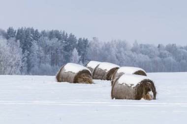 Kış mevsiminde karlı çayırlarda saman balyaları
