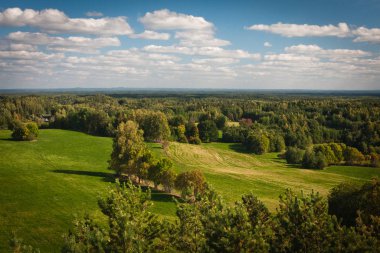 Orman ve çayırlarla dolu güzel yeşil bir manzara.