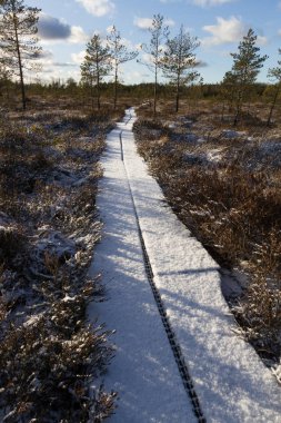 Kış mevsiminde güzel kuzey manzarası