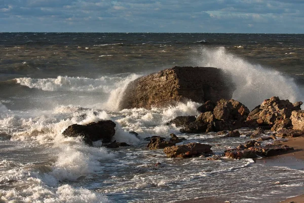 Vågor Östersjökusten — Stockfoto