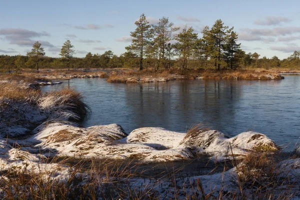 Vackert Nordligt Landskap Vintern — Stockfoto