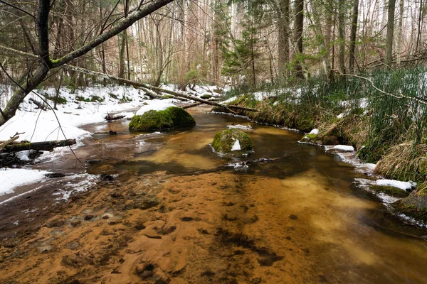 Маленькая Река Зимнем Лесу — стоковое фото