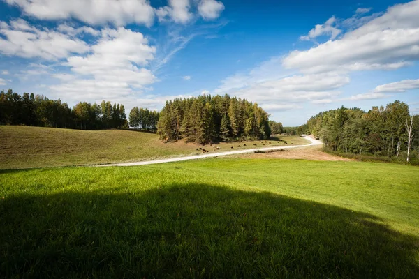 Ağaçlı Meadow Hill Manzarası — Stok fotoğraf