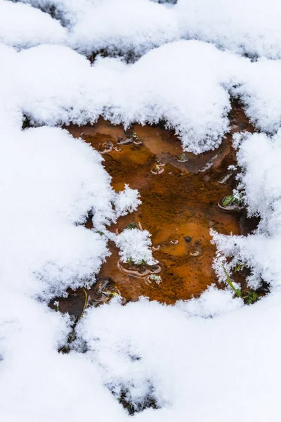 Eau Avec Neige Hiver — Photo